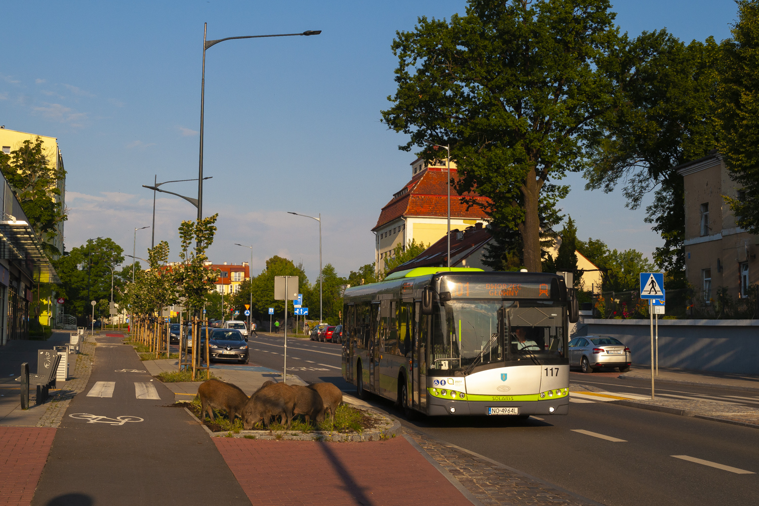 Solaris Urbino 12 #117