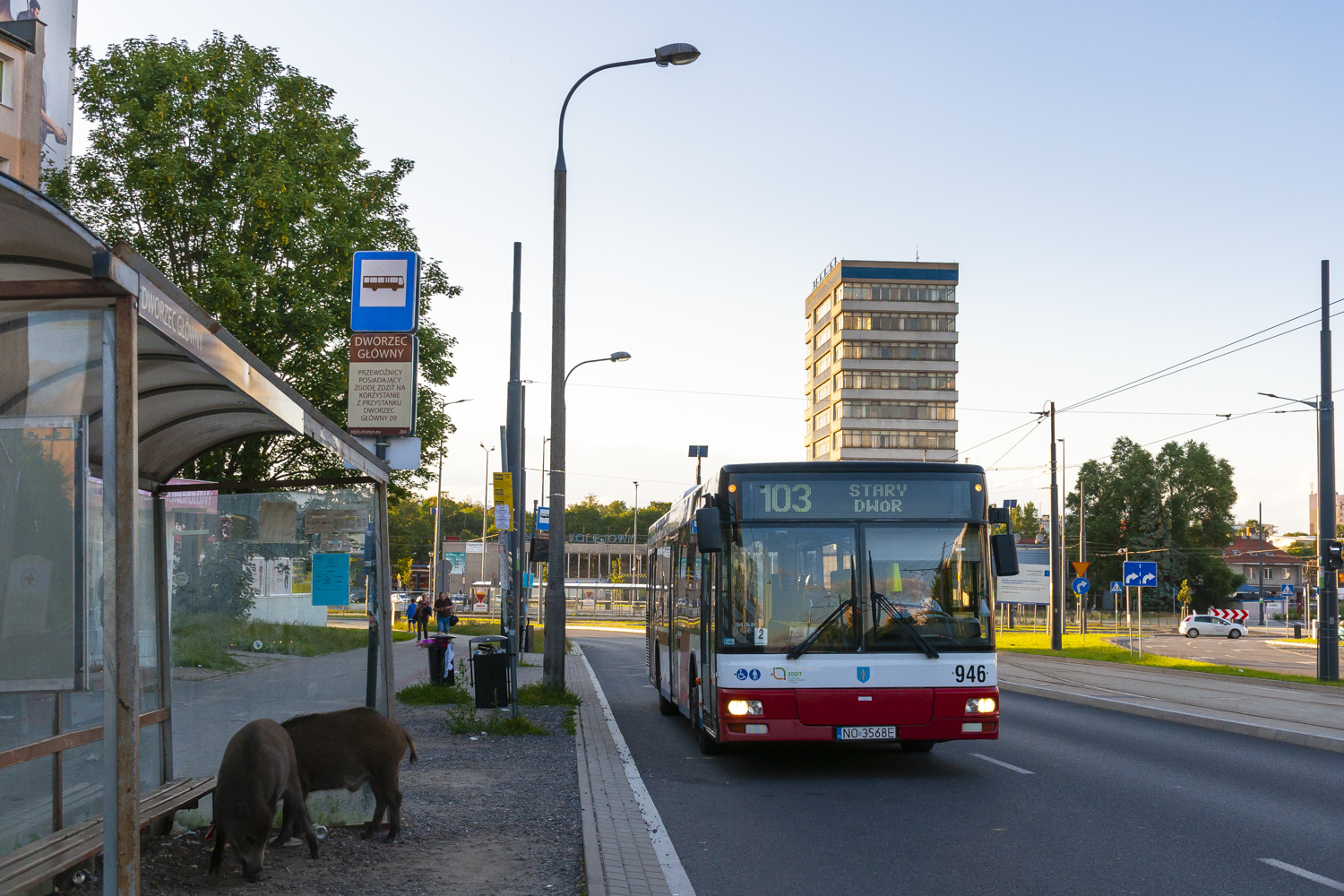 MAN NL263 #946