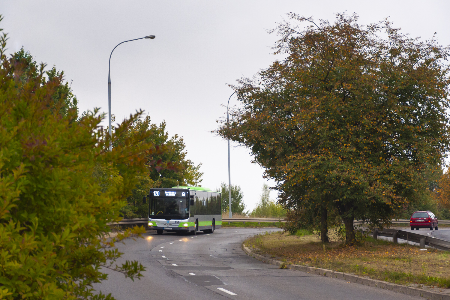 MAN NL283 Lion`s City #156