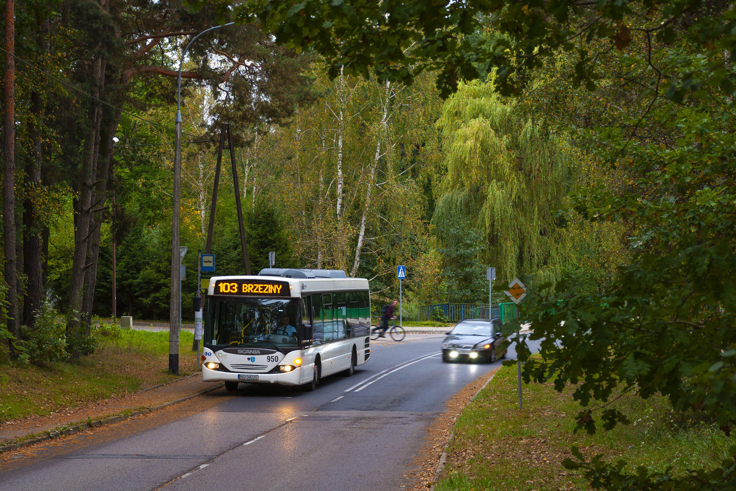 Scania CL94UB 4x2 LB #950