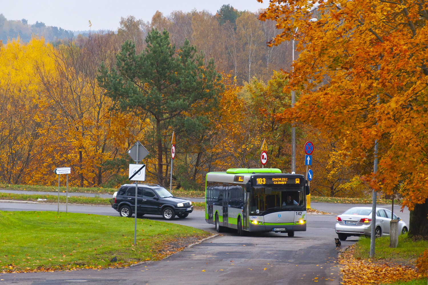 Solaris Urbino 12 #142