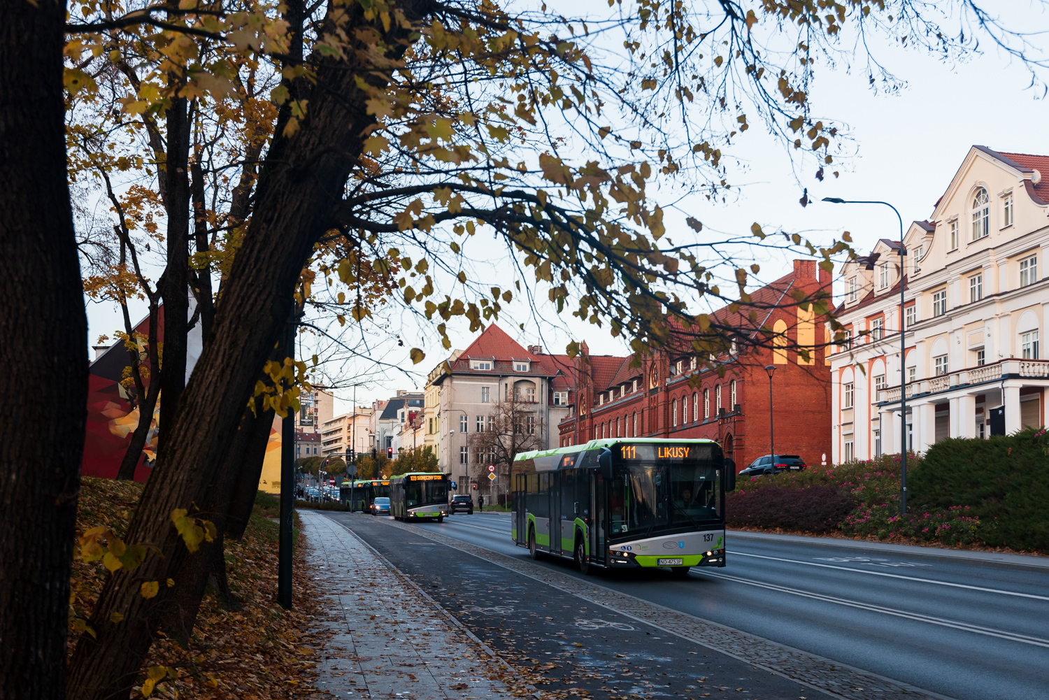 Solaris Urbino 12 #137