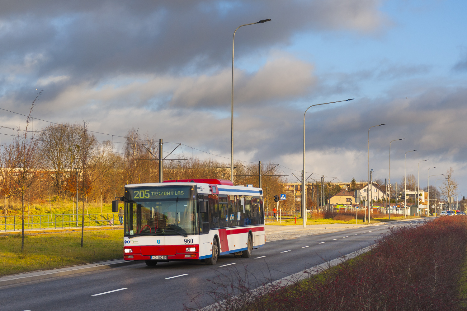 MAN NL313 #960
