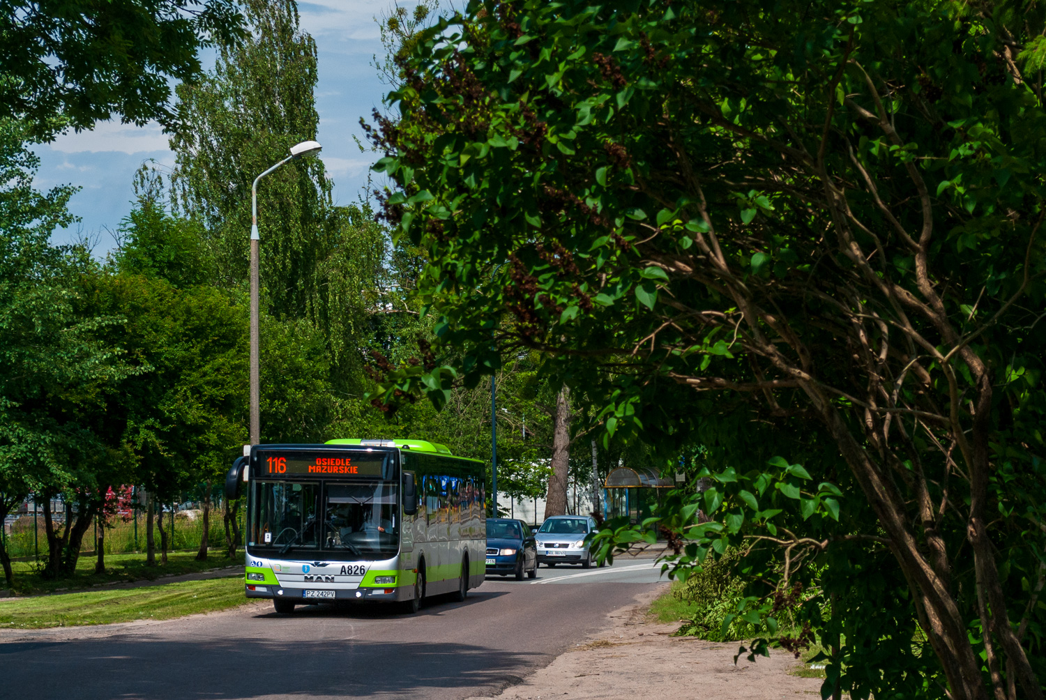 MAN NL323 Lion`s City #A826