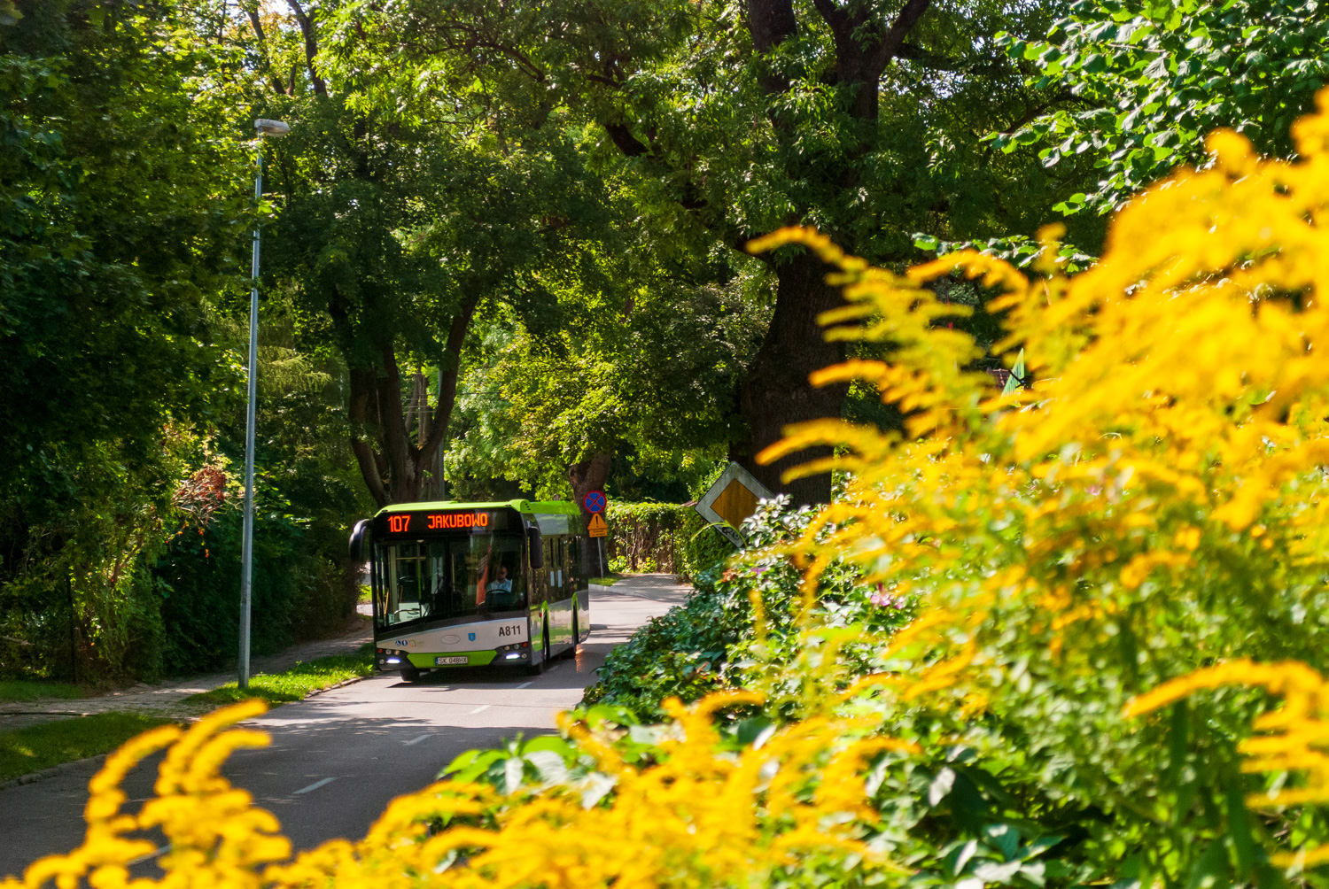 Solaris Urbino 12 #A811