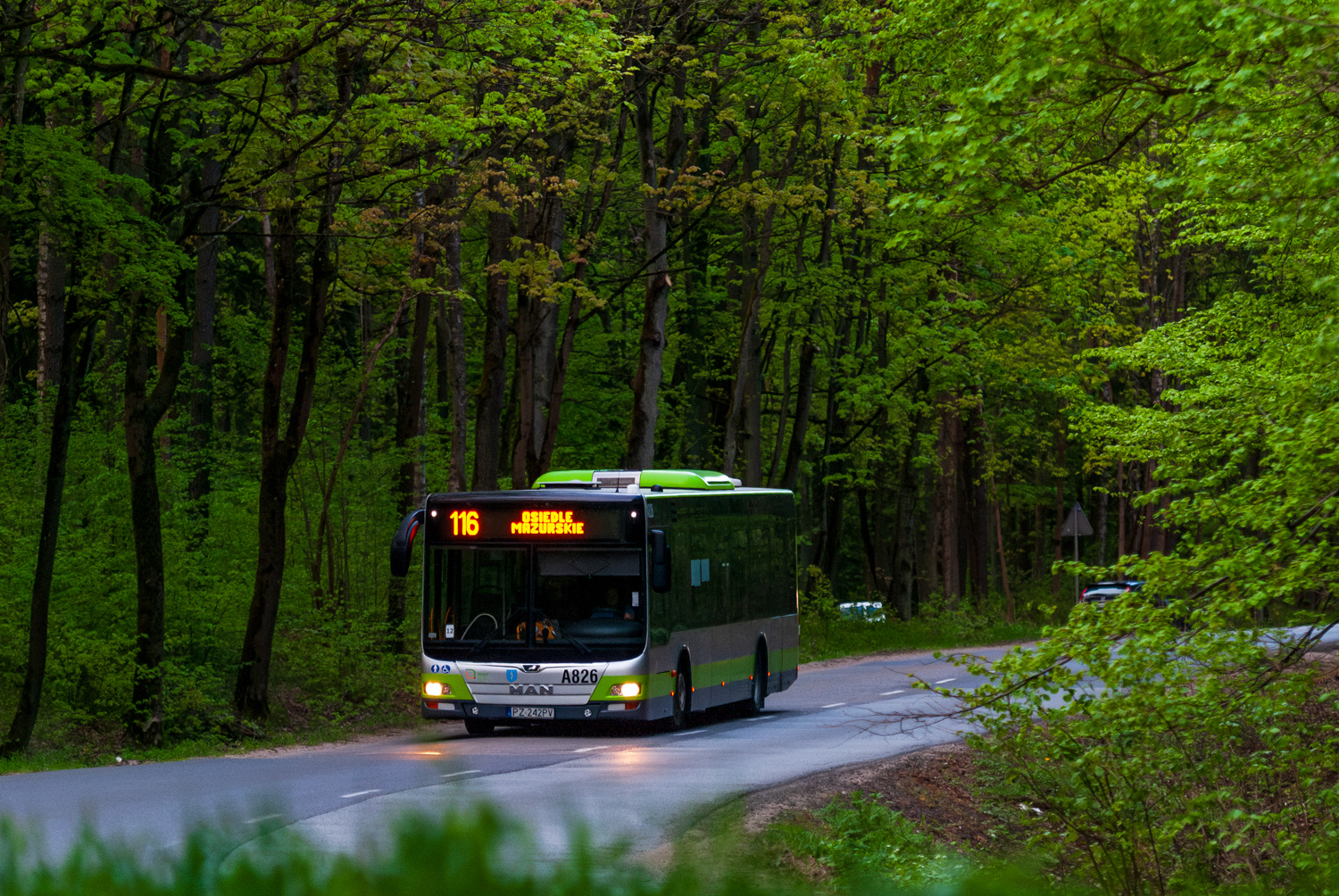 MAN NL323 Lion`s City #A826