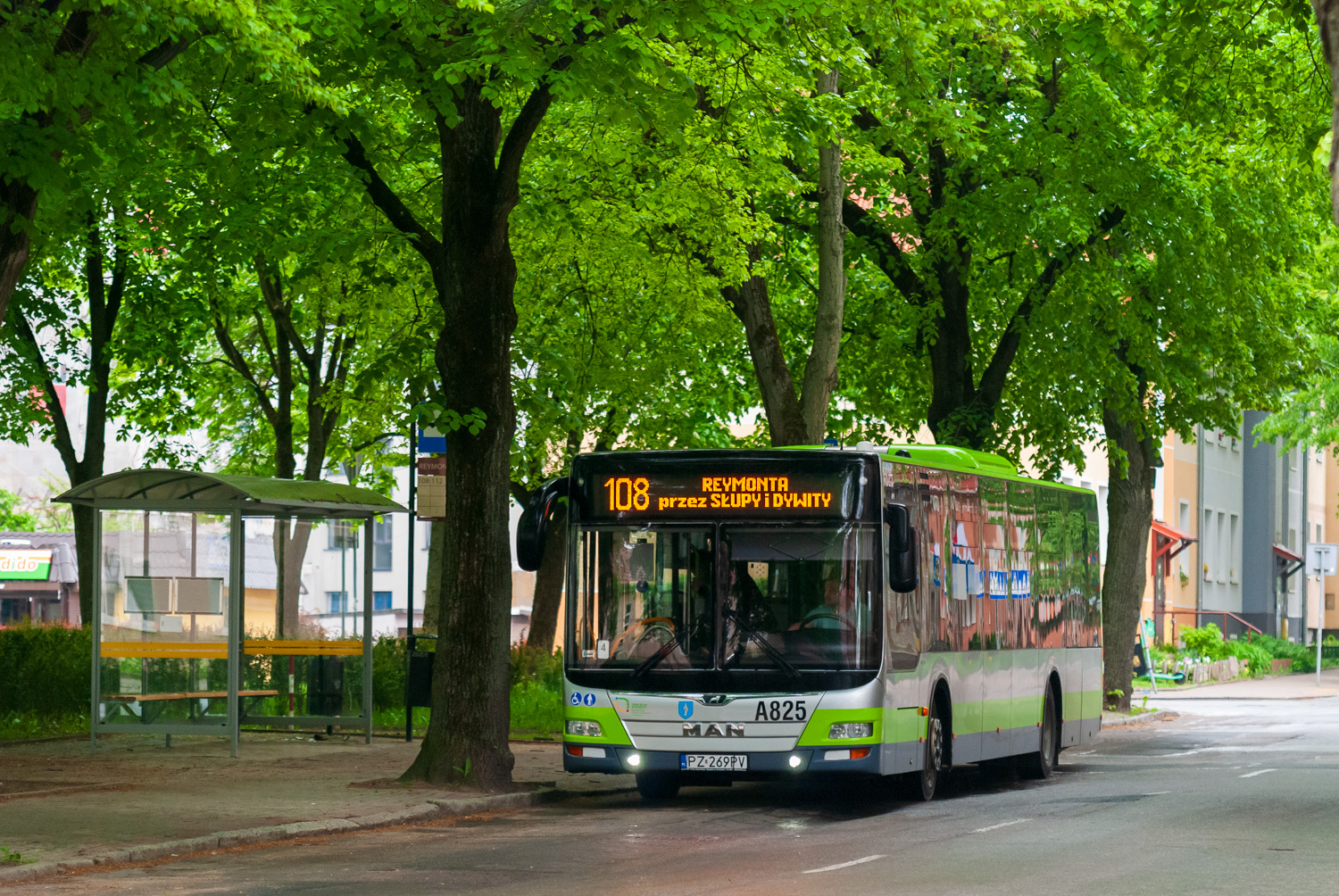 MAN NL323 Lion`s City #A825