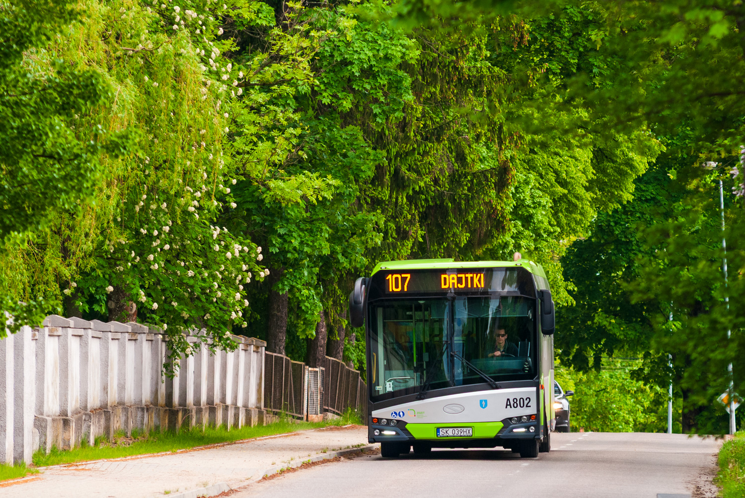 Solaris Urbino 12 #A802