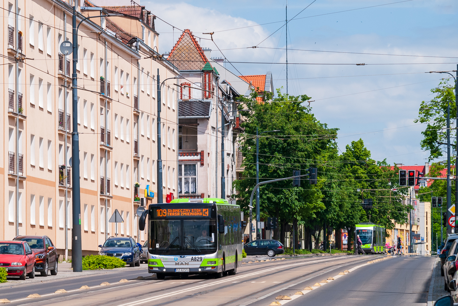 MAN NL323 Lion`s City #A829