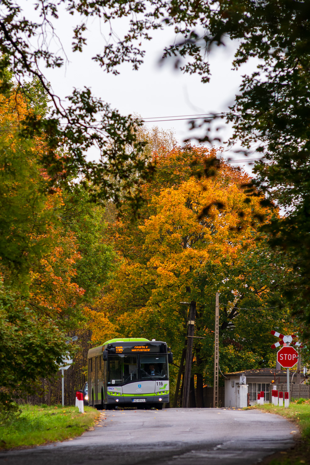 Solaris Urbino 12 #116