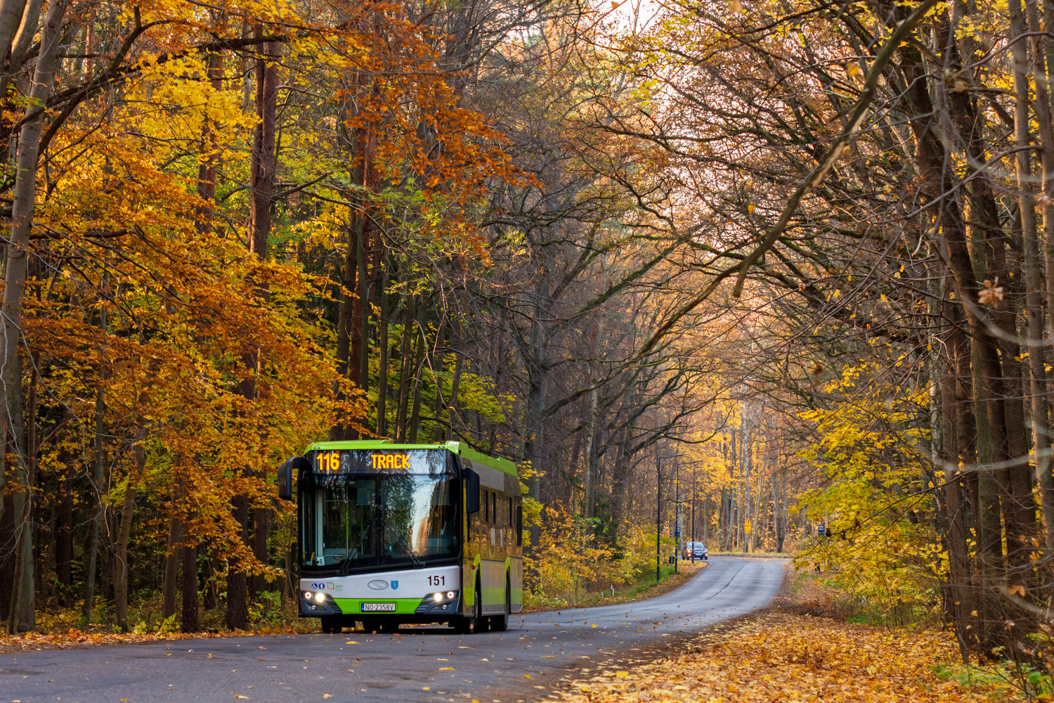 Solaris Urbino 12 #151