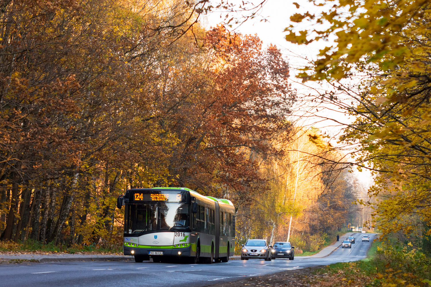 Solaris Urbino 18 #2016