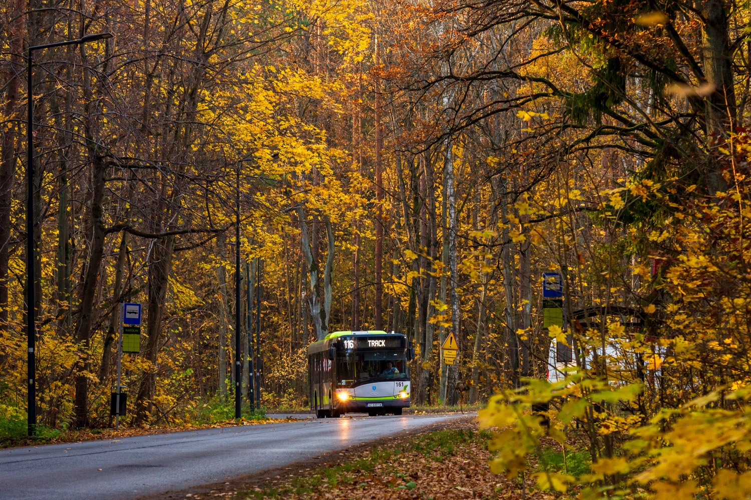 Solaris Urbino 12 #161