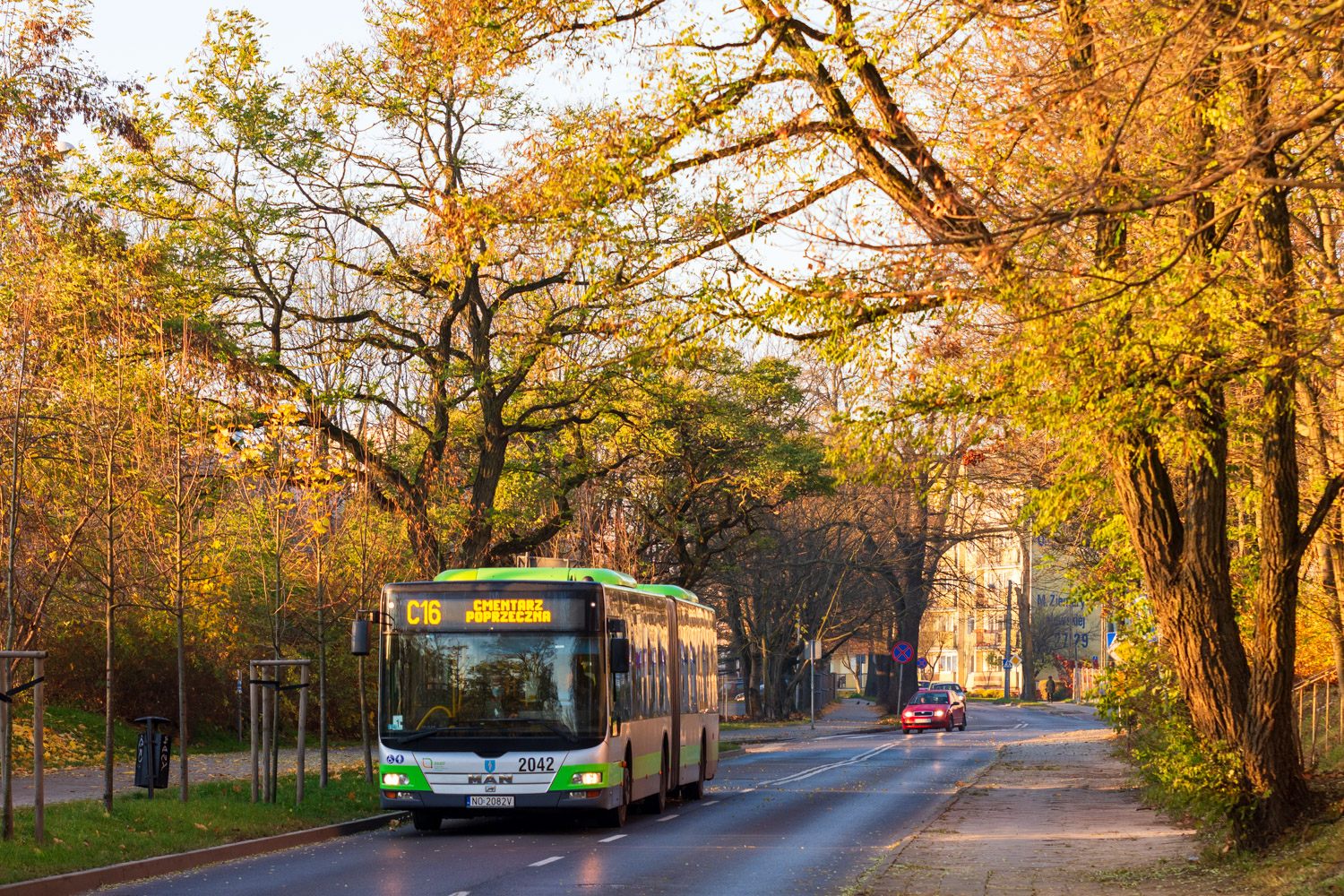 MAN NG323 Lion`s City G #2042