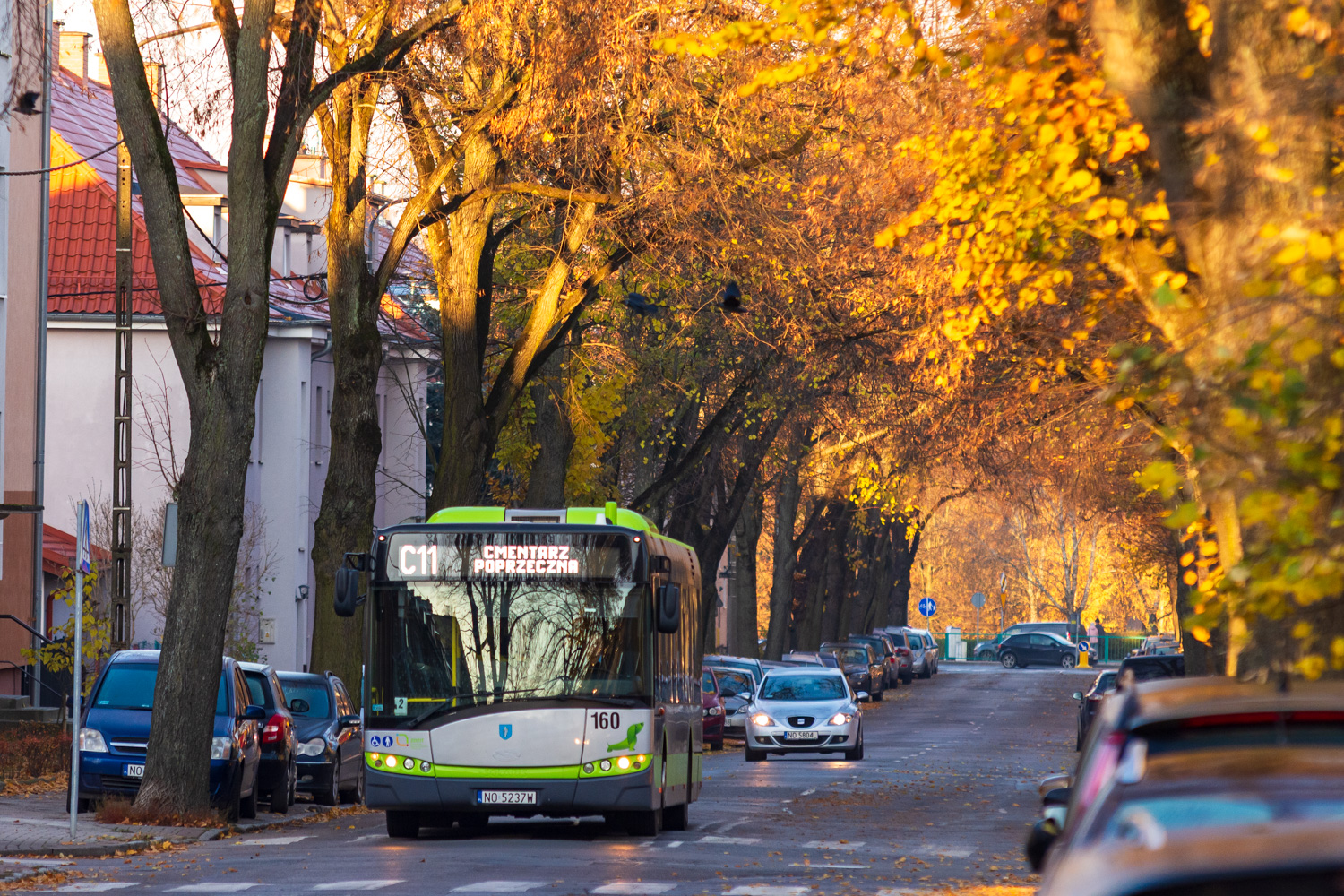 Solaris Urbino 12 #160