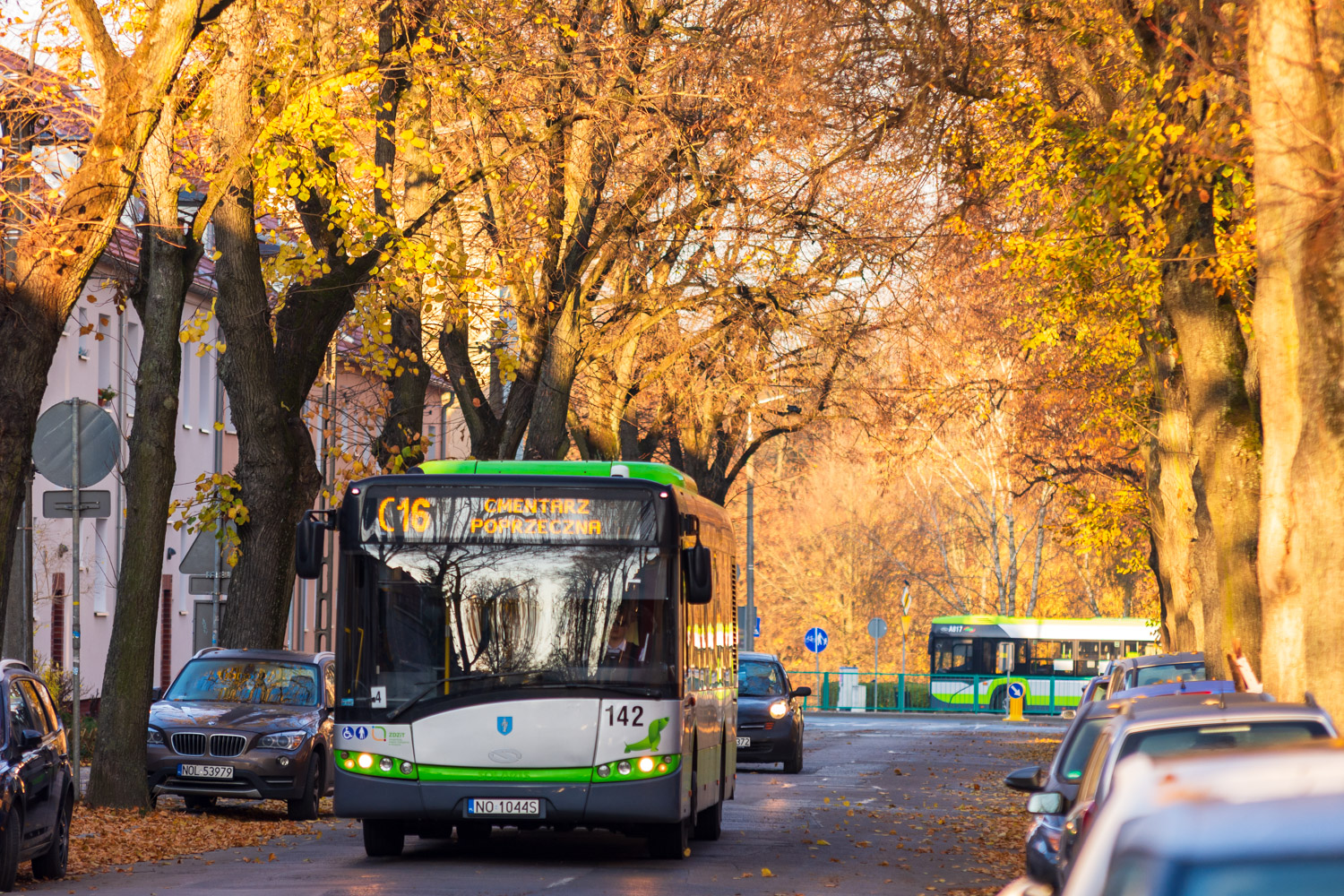 Solaris Urbino 12 #142