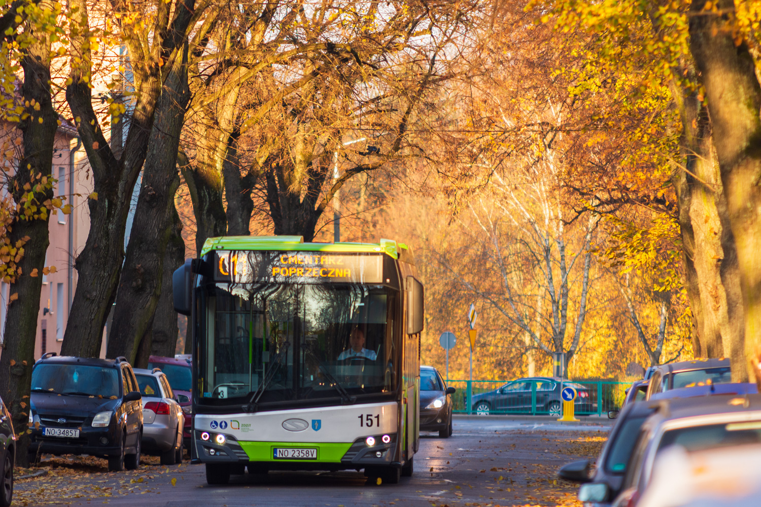 Solaris Urbino 12 #151