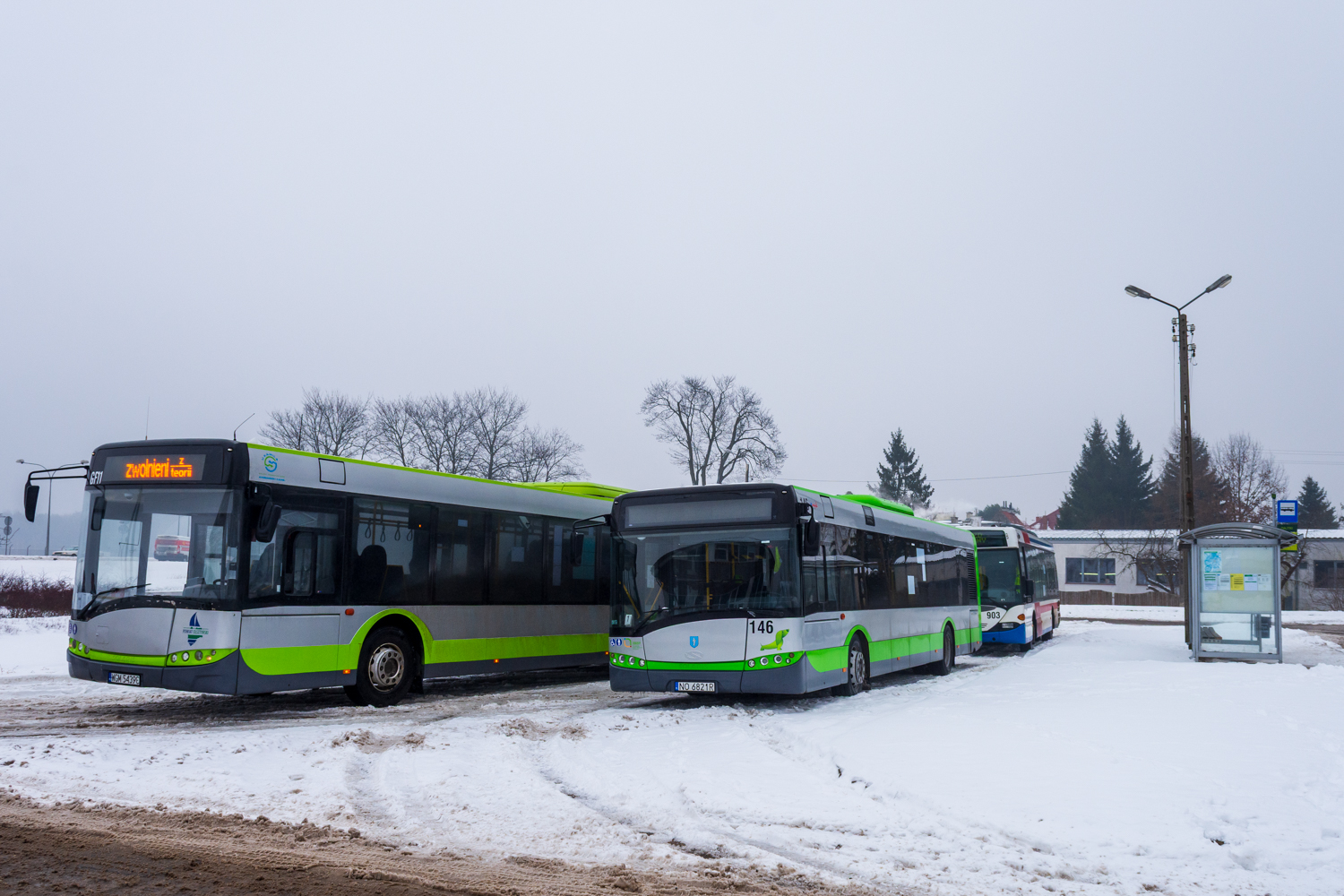 Solaris Urbino 12 #146