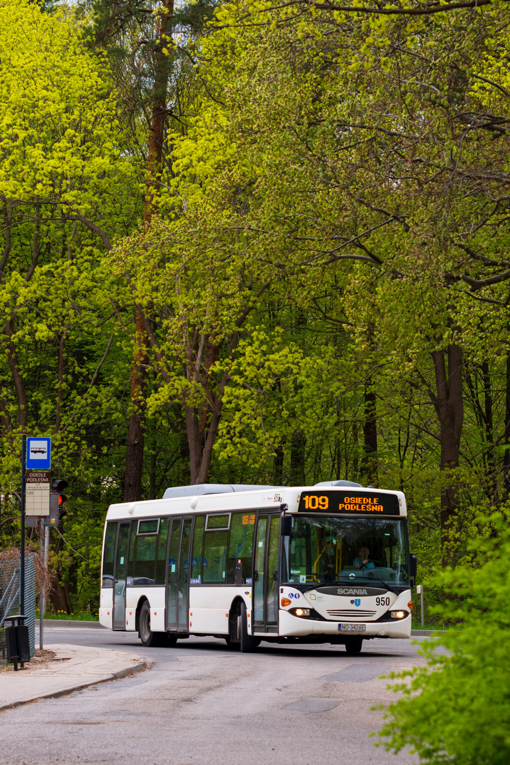 Scania CL94UB 4x2 LB #950