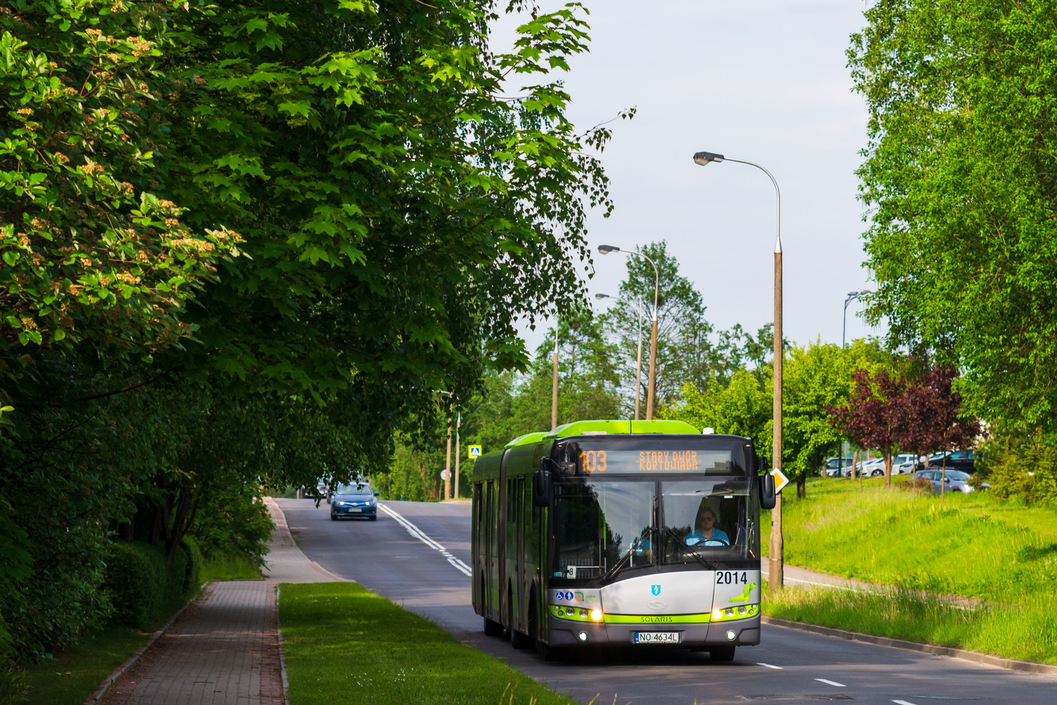 Solaris Urbino 18 #2014