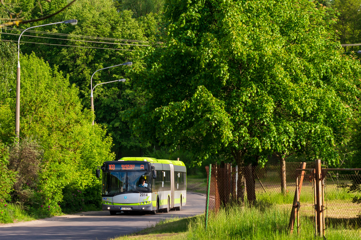 Solaris Urbino 18 #2014