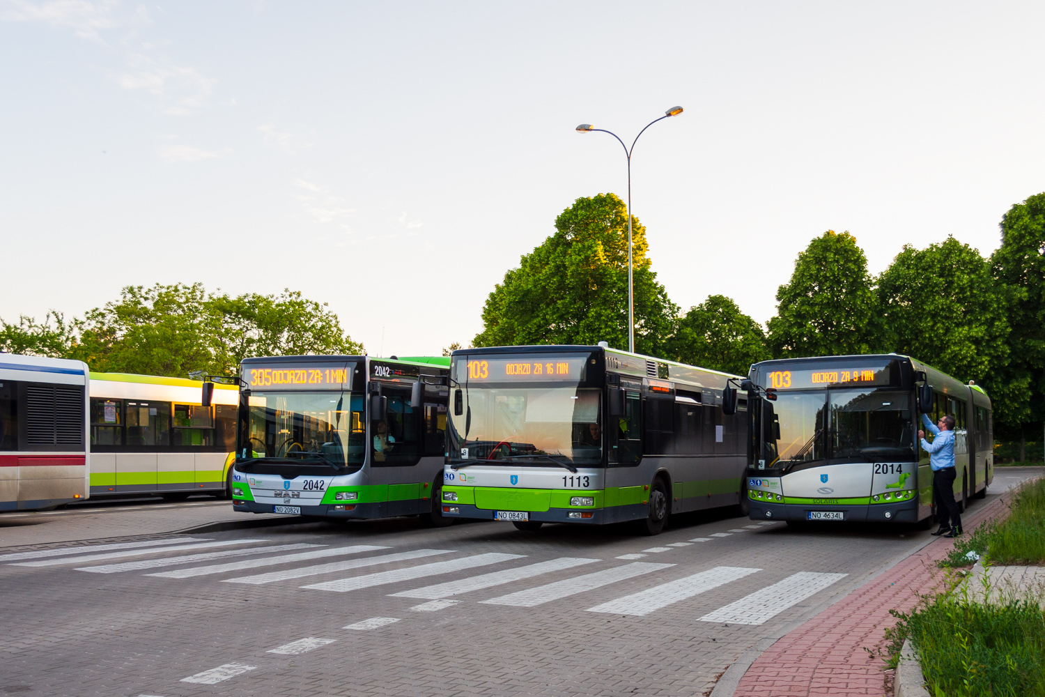 Solaris Urbino 18 #2014