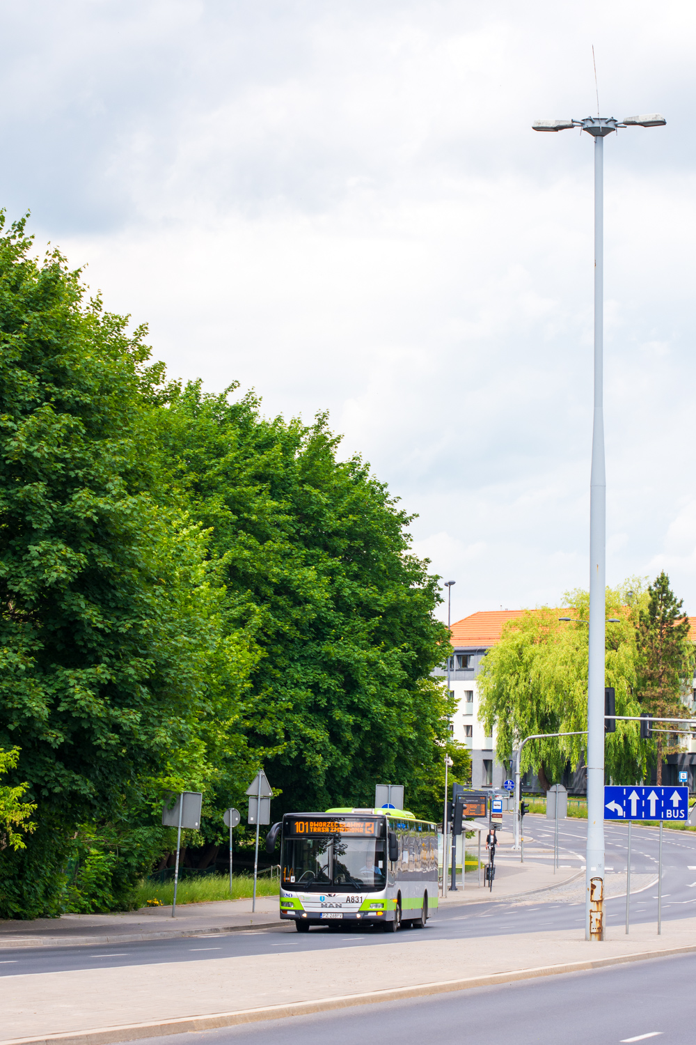 MAN NL323 Lion`s City #A831