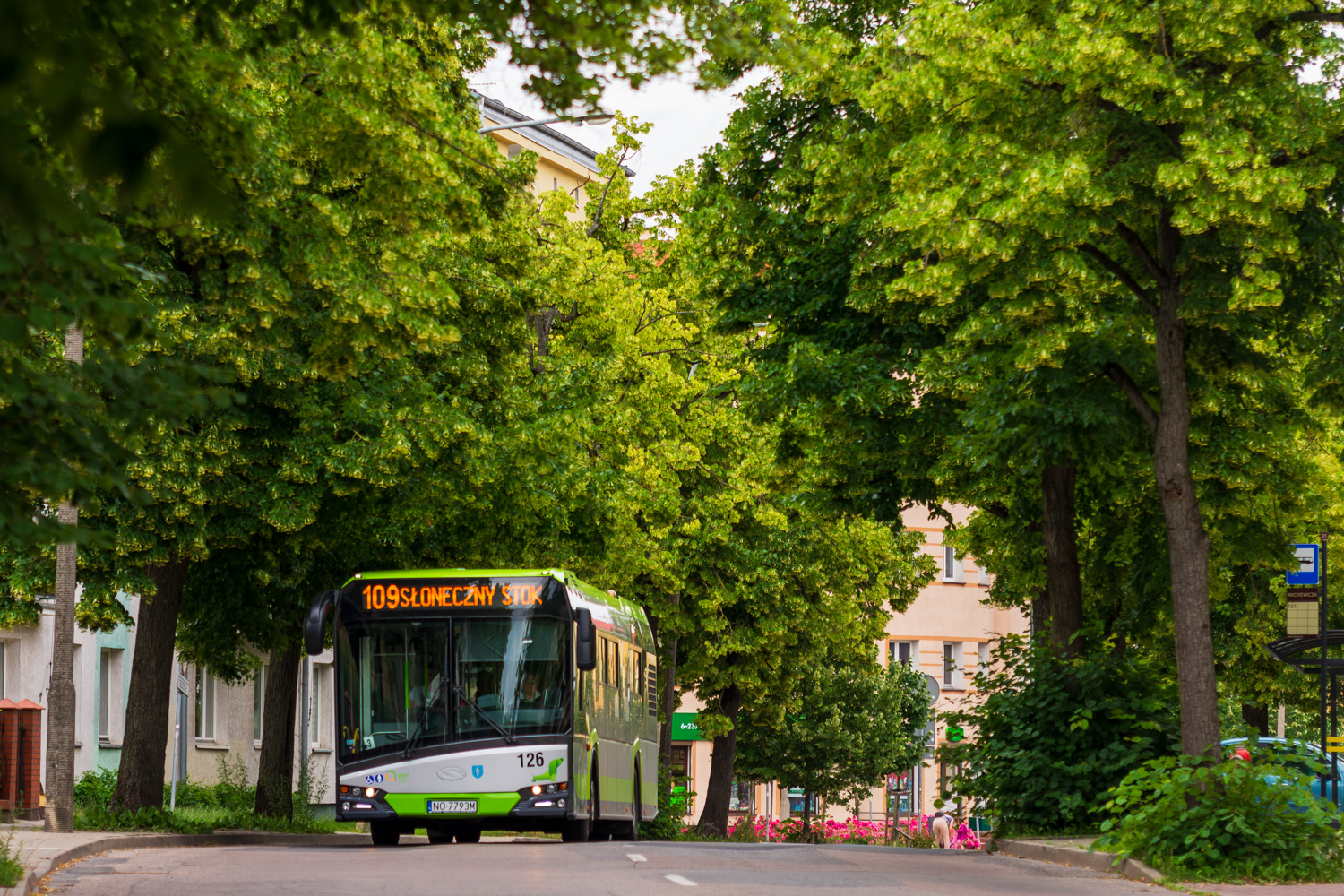 Solaris Urbino 12 #126