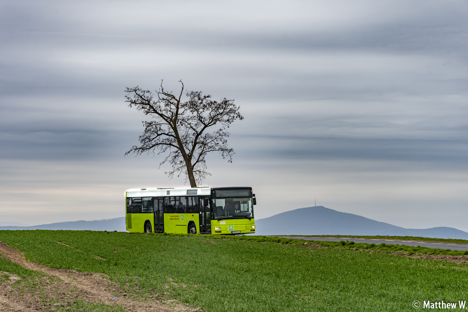 MAN NÜ313 #DOA 03687